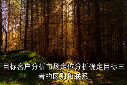 目标客户分析市场定位分析确定目标三者的区别和联系