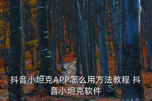 抖音视频手游怎么挂小风车，抖音小坦克APP怎么用方法教程 抖音小坦克软件