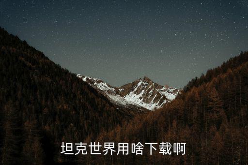 坦克世界用啥下载啊