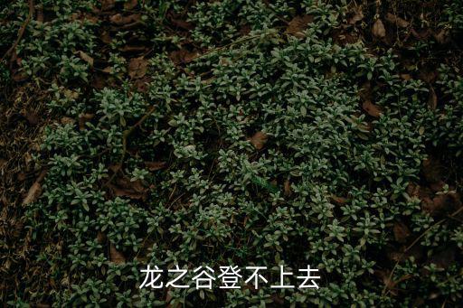 龙之谷登不上去