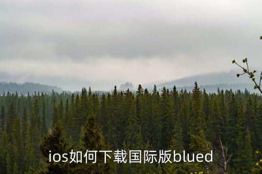 ios如何下载国际版blued