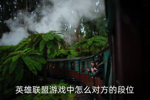 英雄联盟游戏中怎么对方的段位