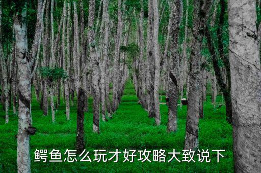 手游鳄鱼怎么玩进阶法师，鳄鱼怎么玩才好攻略大致说下