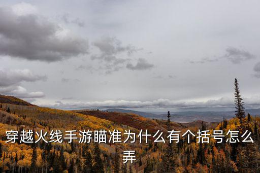 穿越火线手游瞄准为什么有个括号怎么弄