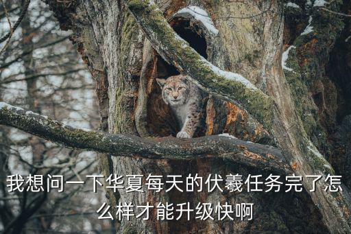 奥拉星手游伏羲怎么培养，奥拉星小游戏