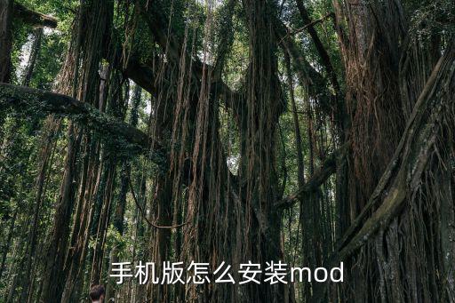 手机版怎么安装mod
