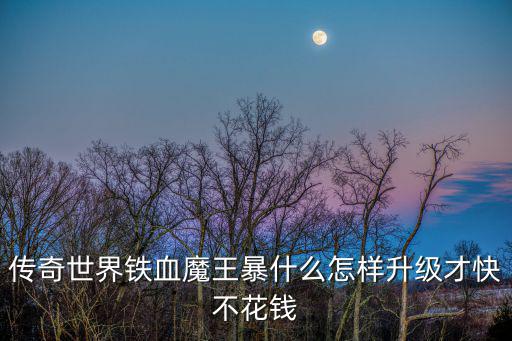 传奇世界铁血魔王暴什么怎样升级才快不花钱