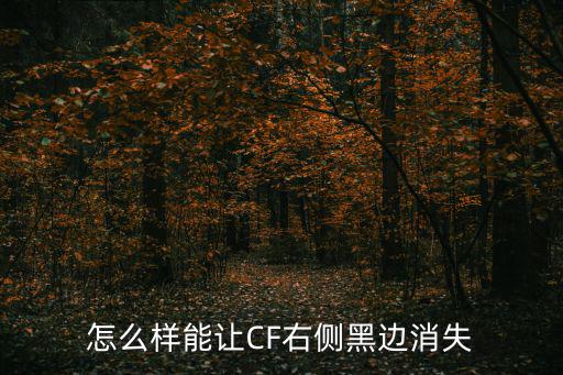 怎么样能让CF右侧黑边消失