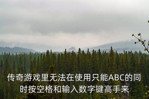 传奇游戏里无法在使用只能ABC的同时按空格和输入数字键高手来