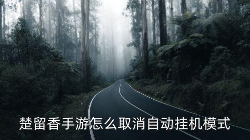 问道手游自动挂机怎么取消，我现在不想挂了怎么可以取消自己的挂机计划