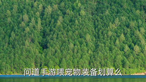 问道手游喂宠物装备划算么