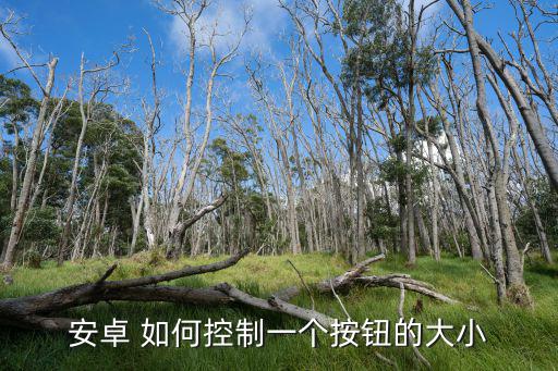 安卓 如何控制一个按钮的大小