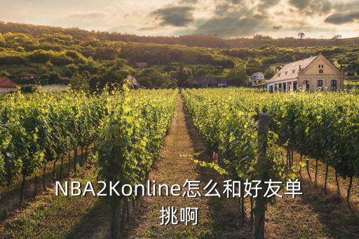 NBA2Konline怎么和好友单挑啊