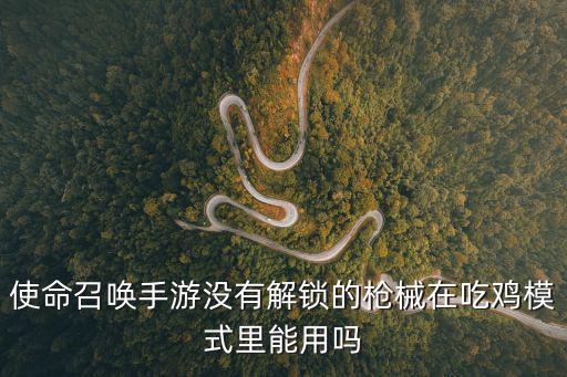 使命召唤手游没有解锁的枪械在吃鸡模式里能用吗