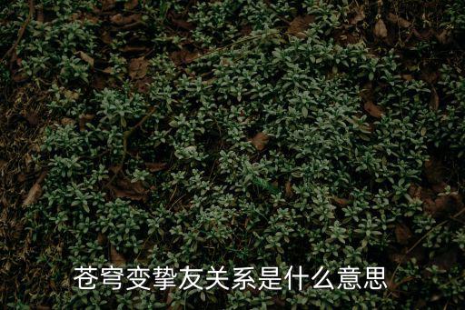 天谕手游挚友关系怎么，苍穹变挚友关系是什么意思