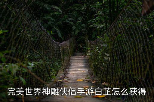 完美世界神雕侠侣手游白芷怎么获得