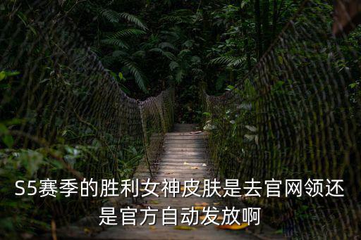 使命召唤手游s5赛季怎么买皮肤，S5赛季末奖励皮肤青铜可以领取吗