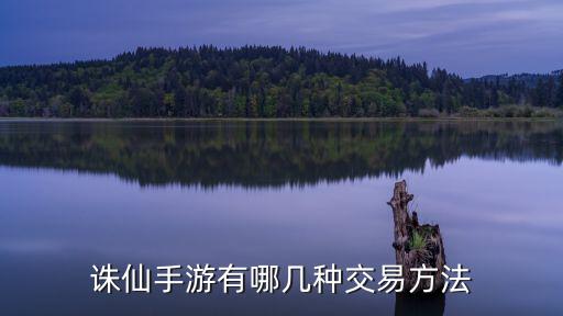 诛仙手游有哪几种交易方法