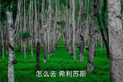 怎么去 希利苏斯