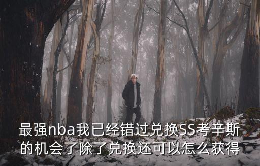 最强nba我已经错过兑换SS考辛斯的机会了除了兑换还可以怎么获得