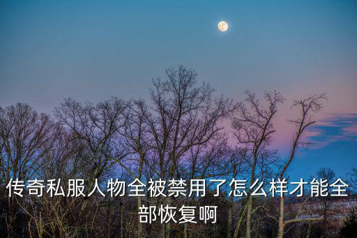 传奇私服人物全被禁用了怎么样才能全部恢复啊