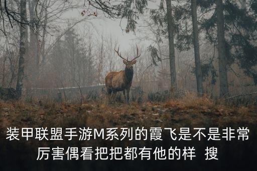 装甲联盟手游M系列的霞飞是不是非常厉害偶看把把都有他的样 搜