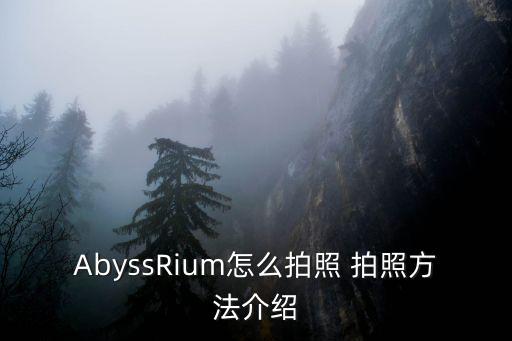 波西亚手游怎么拍照，求助 合金4的OINLINE游戏如何照相