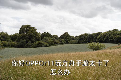 方舟手游卡在境外了怎么办，方舟生存进化加载页面卡住了