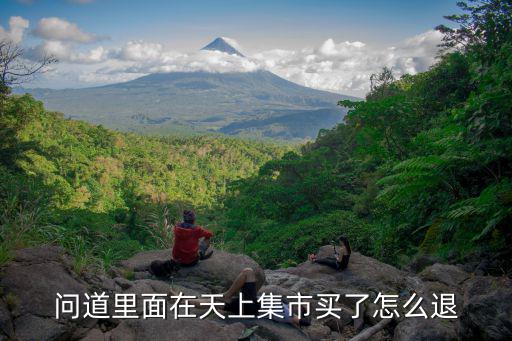 问道手游集市怎么申诉，问道游戏怎么投诉