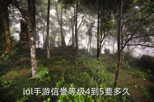 lol手游信誉等级4到5要多久