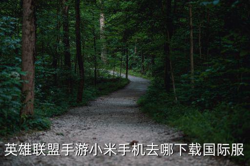 英雄联盟手游小米手机去哪下载国际服