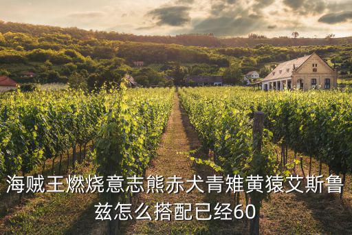 海贼王燃烧意志熊赤犬青雉黄猿艾斯鲁兹怎么搭配已经60
