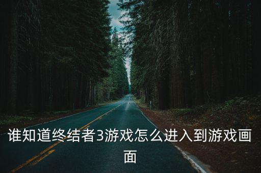 谁知道终结者3游戏怎么进入到游戏画面
