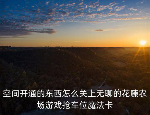 空间开通的东西怎么关上无聊的花藤农场游戏抢车位魔法卡