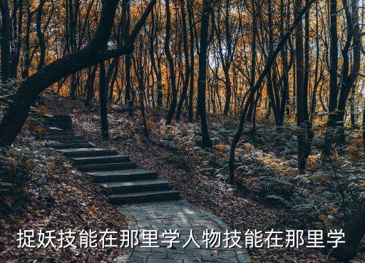 倩女手游怎么捉人练妖技，捉妖技能在那里学人物技能在那里学