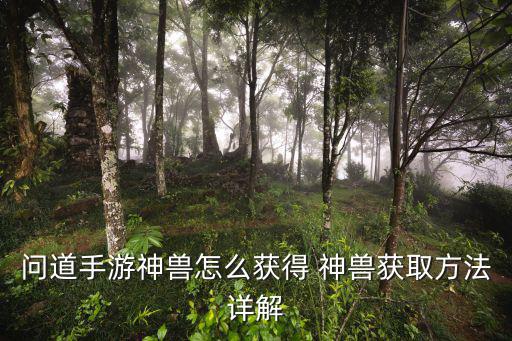 问道手游神兽怎么获得 神兽获取方法详解