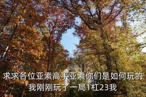 求求各位亚索高手亚索你们是如何玩的我刚刚玩了一局1杠23我