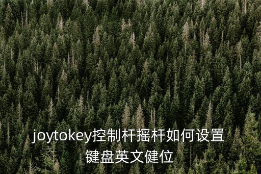 joytokey控制杆摇杆如何设置键盘英文健位