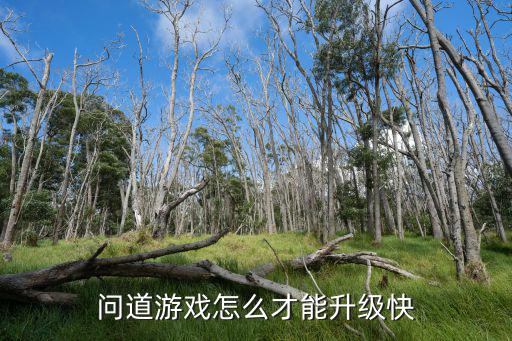 问道手游怎么快速升级天命，游戏问道怎么升级快