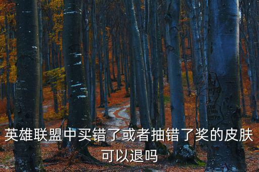 英雄联盟中买错了或者抽错了奖的皮肤可以退吗