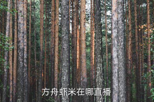 方舟虾米在哪直播