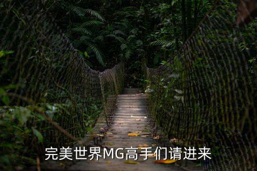 完美世界MG高手们请进来