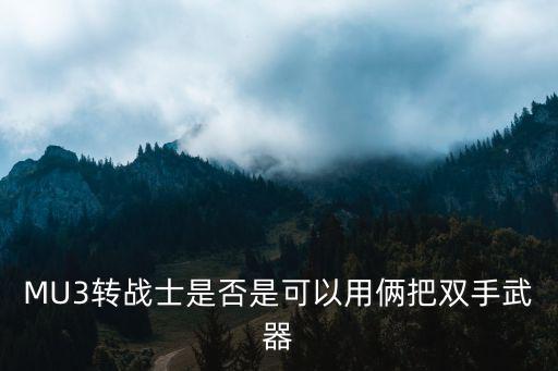 MU3转战士是否是可以用俩把双手武器