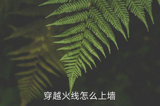 穿越火线怎么上墙