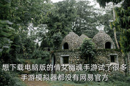 想下载电脑版的倩女幽魂手游试了很多手游模拟器都没有网易官方