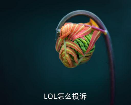 LOL怎么投诉