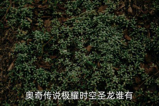 奥奇传说极耀时空圣龙谁有