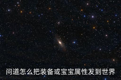 问道怎么把装备或宝宝属性发到世界