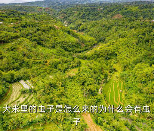 天刀手游五行藏珍火怎么同时打灭，跪求作文未曾想到