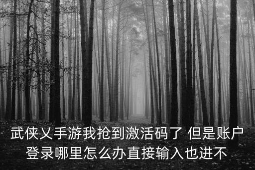 武侠乂手游我抢到激活码了 但是账户登录哪里怎么办直接输入也进不